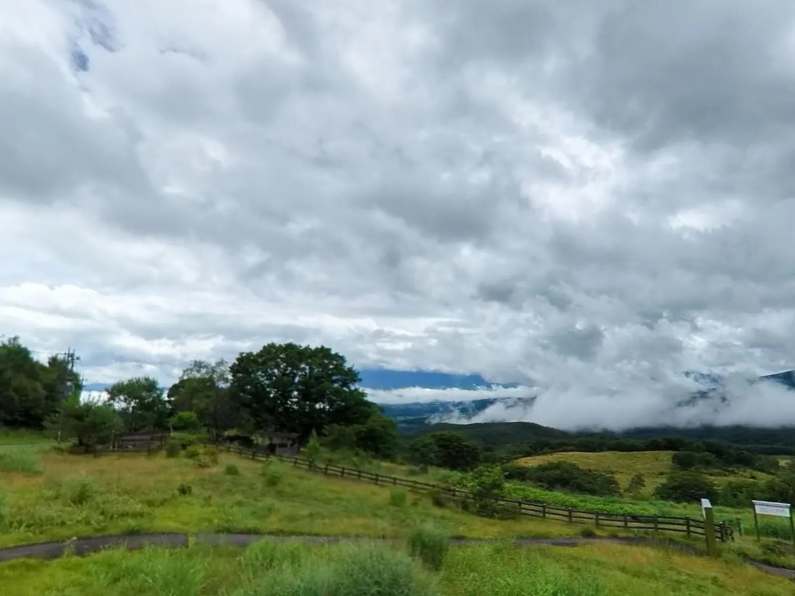 August 2025 — the field from the deck on the survey visit: waist-high grass to the fence line, cloud on the far ridge