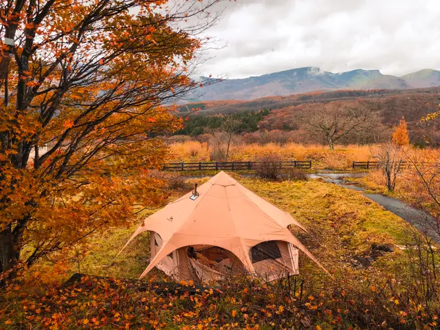 冬の紅葉とテント、山並み